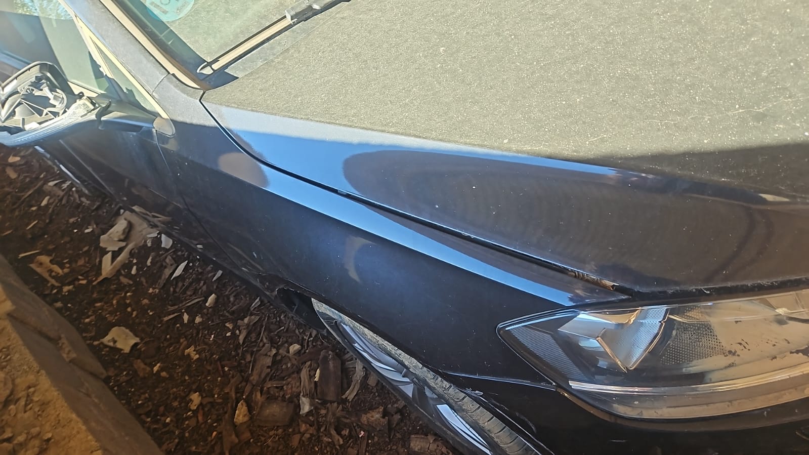 Volkswagen Golf VII (2016)
