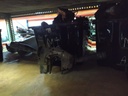 Mando intermitentes - Ford Escort VI (GAL) (1.6 i 16V (88 cv)) (0000)