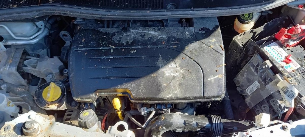 Motor - Renault Twingo (C06) (1.2i 16V (75 cv) Automatico) (2007)