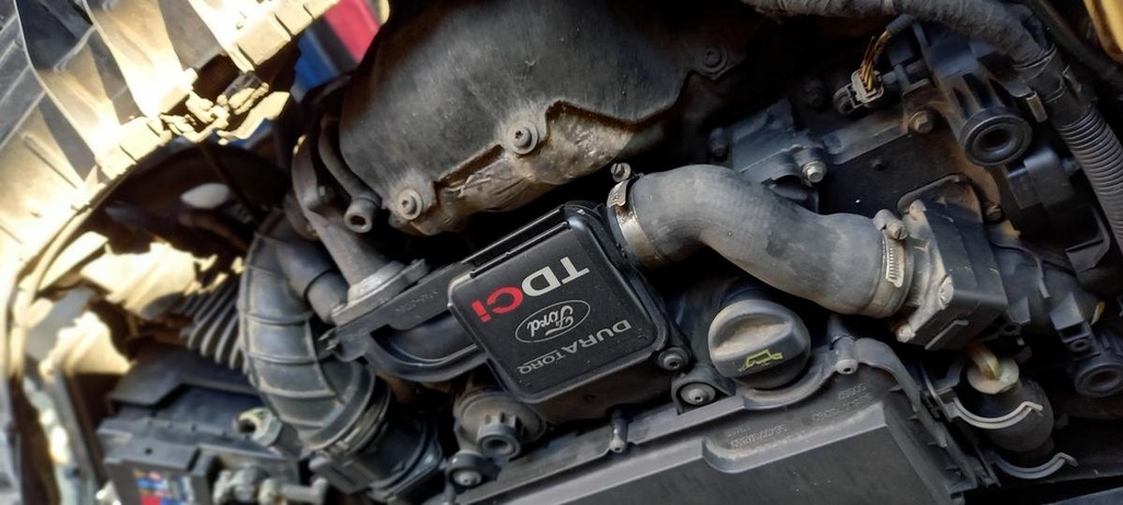Motor - Ford Fiesta VI (1.4 TDCi (68 cv)) (2003)