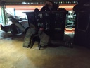 Mando intermitentes - Ford Escort VI (GAL) (1.6 i 16V (88 cv))