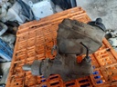 Bomba de freno - Renault Kangoo Express (FC) (1.5 dCi (80 cv))