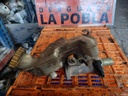 Bomba de freno - Ford Fiesta VI (1.3 (68 cv)) (2005)