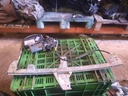Elevalunas delantero derecho - Peugeot 307 (1.4 i 16V (88))