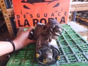 Motor de arranque - Citroen Xsara Break (N2) (1.6 i (88 cv))