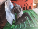 Motor de arranque - Opel Astra G (2.0 DTI 16V (101 cv))