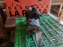 Motor de arranque - Ford Fiesta IV - V (1.6 16V Sport (103 cv))