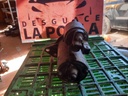 Motor de arranque - Volkswagen Golf III (1HX) (2.0 GTI 16V (150 cv))
