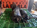 Motor de arranque - Volkswagen Golf IV (1J1) (1.6 (101 cv))