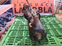 Motor de arranque - Peugeot 206 (1.6 i (88 cv))