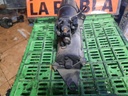 Motor de arranque - Bmw Serie 5 (E34) (520i (129 cv))