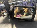 Retrovisor derecho - Volkswagen Golf III (1HX) (1.8 (75 cv))